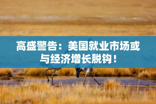 高盛警告：美国就业市场或与经济增长脱钩！