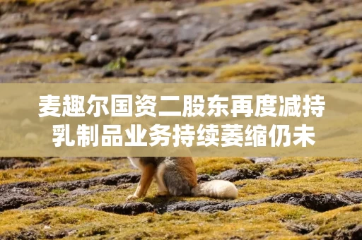 麦趣尔国资二股东再度减持 乳制品业务持续萎缩仍未扭亏