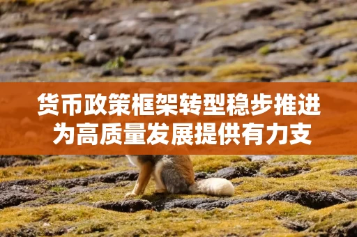 货币政策框架转型稳步推进 为高质量发展提供有力支撑——《金融时报》访中国人民银行货币政策司负责人