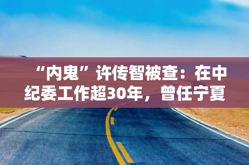 “内鬼”许传智被查：在中纪委工作超30年，曾任宁夏纪委书记
