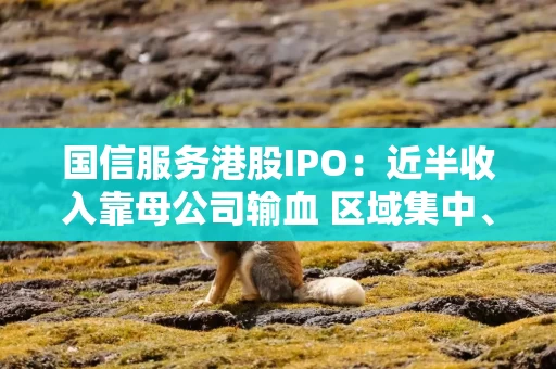 国信服务港股IPO：近半收入靠母公司输血 区域集中、应收账款激增下的增长挑战