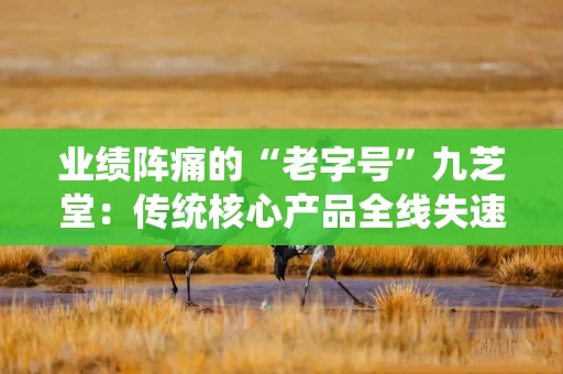 业绩阵痛的“老字号”九芝堂：传统核心产品全线失速