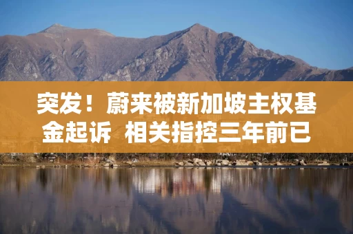 突发！蔚来被新加坡主权基金起诉  相关指控三年前已澄清