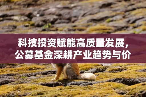 科技投资赋能高质量发展，公募基金深耕产业趋势与价值发现