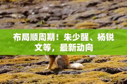 布局顺周期！朱少醒、杨锐文等，最新动向