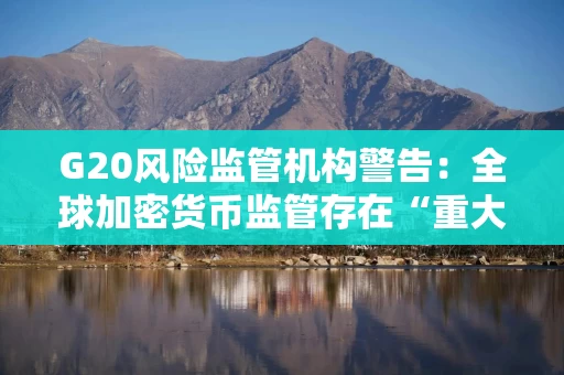G20风险监管机构警告：全球加密货币监管存在“重大缺口”
