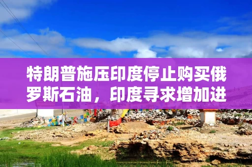 特朗普施压印度停止购买俄罗斯石油，印度寻求增加进口美国油气