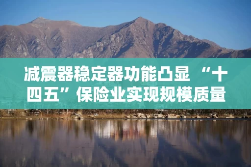 减震器稳定器功能凸显 “十四五”保险业实现规模质量双提升