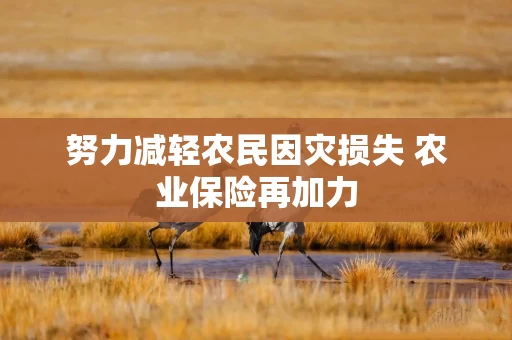 努力减轻农民因灾损失 农业保险再加力