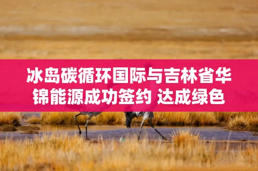 冰岛碳循环国际与吉林省华锦能源成功签约 达成绿色甲醇项目及全球承购战略合作
