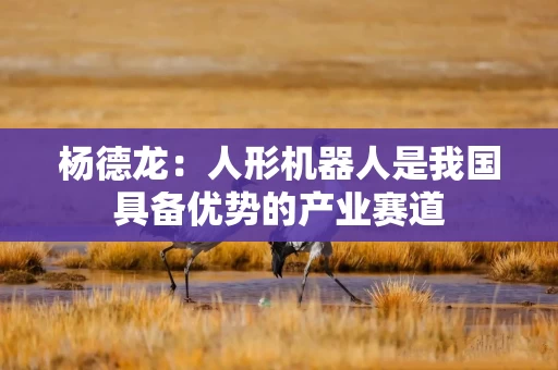杨德龙：人形机器人是我国具备优势的产业赛道