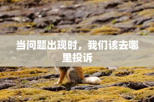 当问题出现时,我们该去哪里投诉 当问题出现时,我们该去哪里投诉
