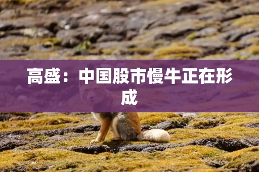 高盛：中国股市慢牛正在形成
