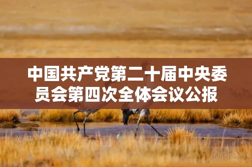 中国共产党第二十届中央委员会第四次全体会议公报 中国共产党第二十届中央委员会第四次全体会议公报