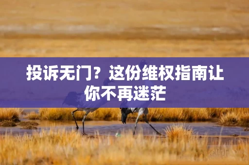 投诉无门？这份维权指南让你不再迷茫