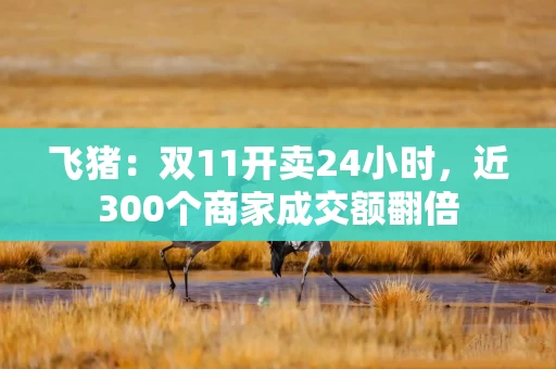 飞猪:双11开卖24小时,近300个商家成交额翻倍 飞猪:双11开卖24小时,近300个商家成交额翻倍