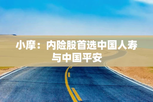 小摩：内险股首选中国人寿与中国平安