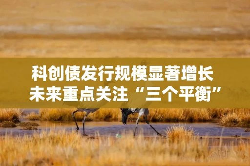 科创债发行规模显著增长 未来重点关注“三个平衡”