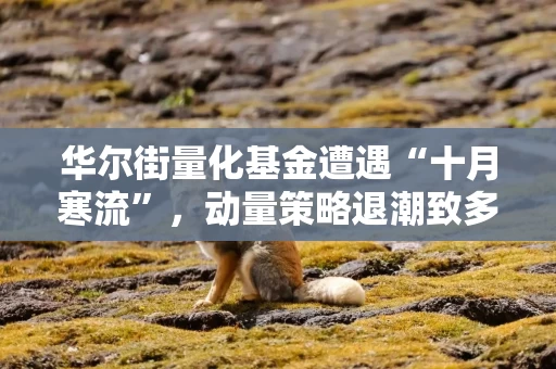 华尔街量化基金遭遇“十月寒流”，动量策略退潮致多家巨头亏损