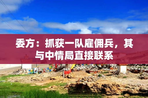 委方：抓获一队雇佣兵，其与中情局直接联系