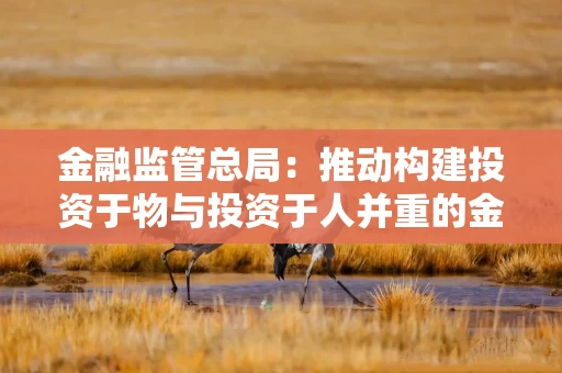 金融监管总局：推动构建投资于物与投资于人并重的金融服务新模式