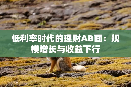 低利率时代的理财AB面：规模增长与收益下行