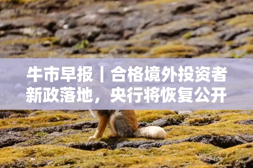 牛市早报|合格境外投资者新政落地,央行将恢复公开市场国债买卖操作 牛市早报|合格境外投资者新政落地,央行将恢复公开市场国债买卖操作