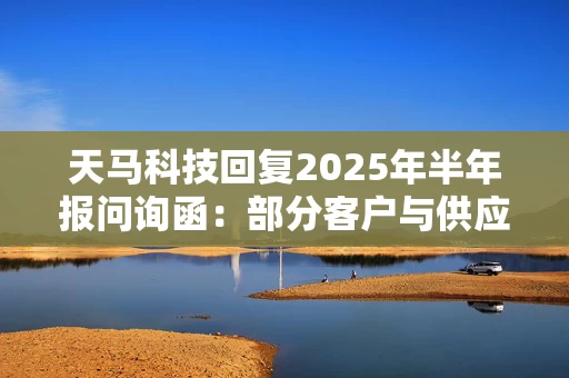 天马科技回复2025年半年报问询函：部分客户与供应商重叠