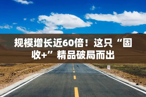 规模增长近60倍！这只“固收+”精品破局而出
