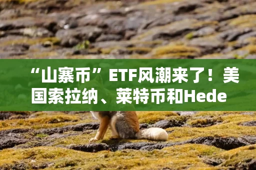 “山寨币”ETF风潮来了！美国索拉纳、莱特币和Hedera ETF将于本周开始交易，香港索拉纳ETF已抢先挂牌
