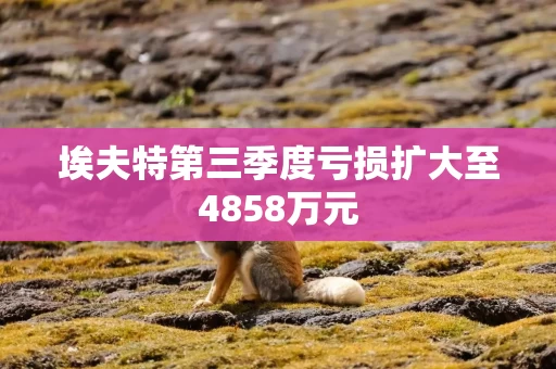 埃夫特第三季度亏损扩大至4858万元