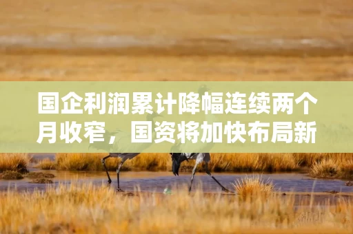 国企利润累计降幅连续两个月收窄，国资将加快布局新兴产业