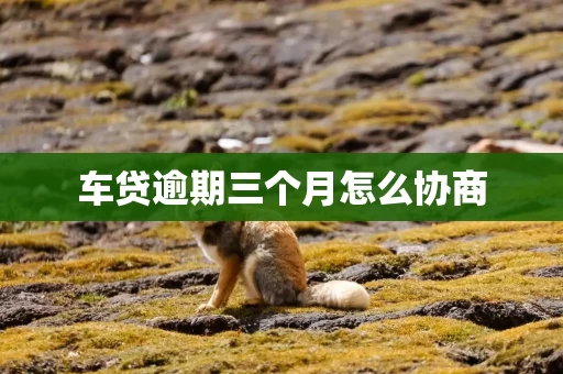 车贷逾期三个月怎么协商