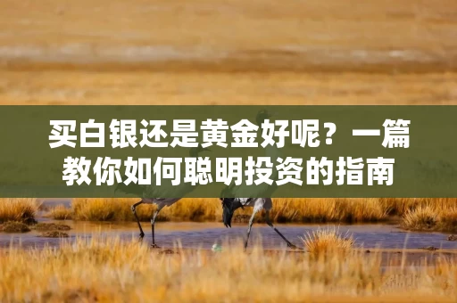 买白银还是黄金好呢？一篇教你如何聪明投资的指南