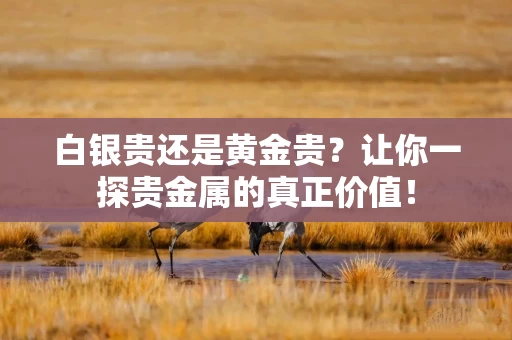 白银贵还是黄金贵？让你一探贵金属的真正价值！