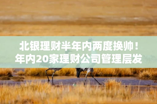 北银理财半年内两度换帅！年内20家理财公司管理层发生变动，母行人才开启“能力竞争”