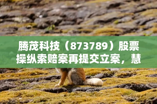 腾茂科技（873789）股票操纵索赔案再提交立案，慧辰股份（688500）索赔案已有胜诉