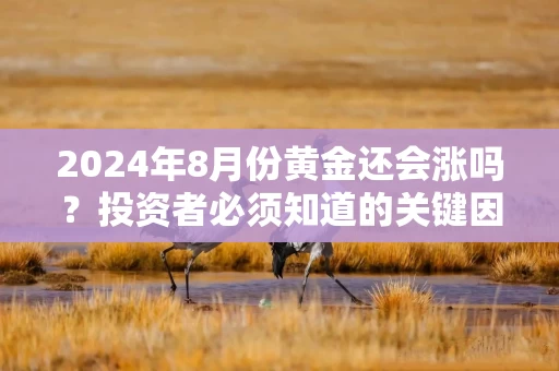2024年8月份黄金还会涨吗？投资者必须知道的关键因素
