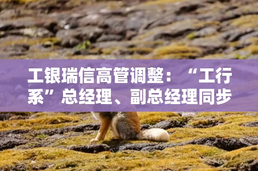 工银瑞信高管调整：“工行系”总经理、副总经理同步到位
