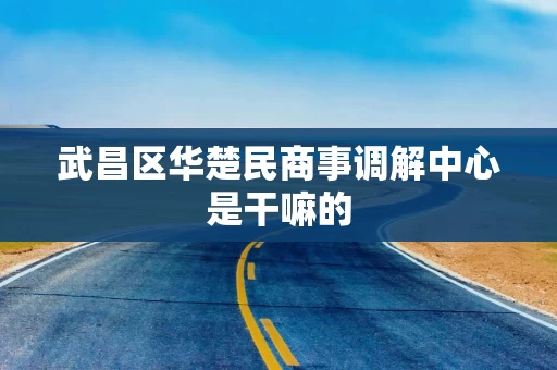 武昌区华楚民商事调解中心是干嘛的