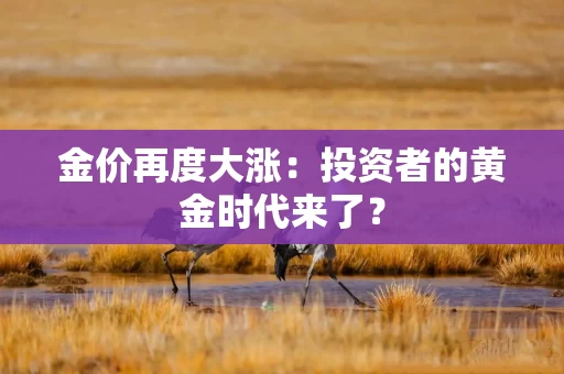 金价再度大涨：投资者的黄金时代来了？