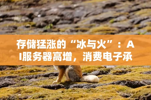 存储猛涨的“冰与火”:AI服务器高增,消费电子承压 存储猛涨的“冰与火”:AI服务器高增,消费电子承压