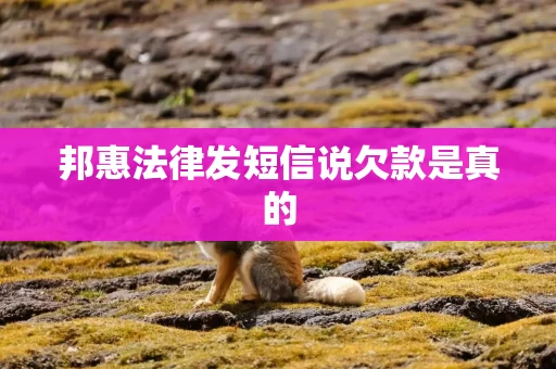 邦惠法律发短信说欠款是真的