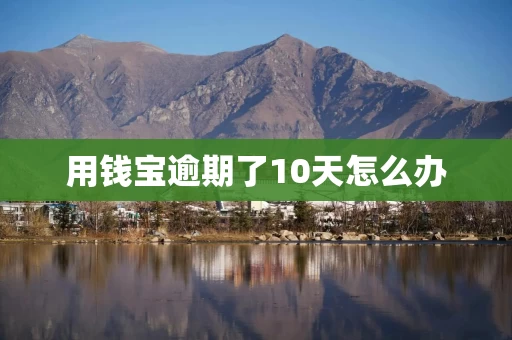 用钱宝逾期了10天怎么办 用钱宝逾期了10天怎么办