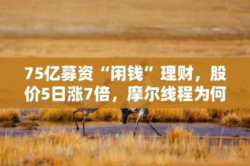 75亿募资“闲钱”理财，股价5日涨7倍，摩尔线程为何激进且保守？