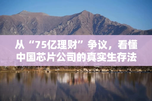 从“75亿理财”争议，看懂中国芯片公司的真实生存法则