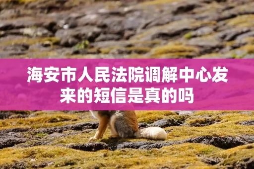 海安市人民法院调解中心发来的短信是真的吗