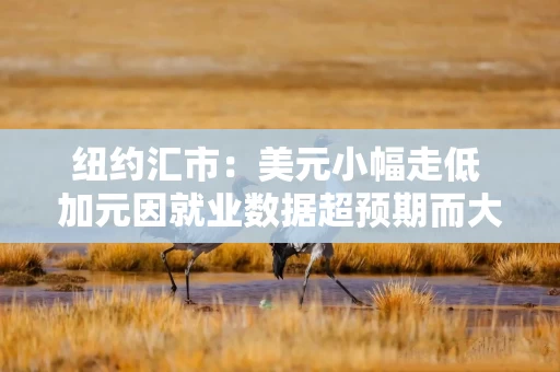 纽约汇市：美元小幅走低 加元因就业数据超预期而大幅上涨