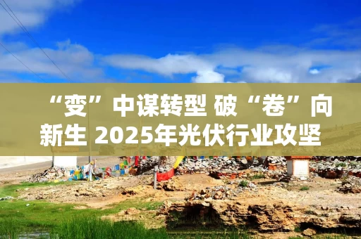 “变”中谋转型 破“卷”向新生 2025年光伏行业攻坚战：从价格厮杀到价值重构