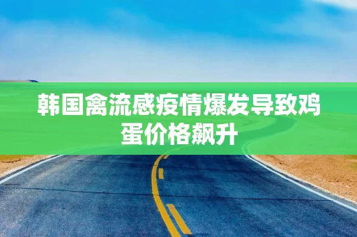 韩国禽流感疫情爆发导致鸡蛋价格飙升